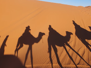 Agadir Desert Aventure – Excursions, Dunes et Aventure | Afribaba.ma