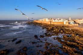 Afribaba Massage Center Essaouira | Relaxing Full-Body Massage & Private Spa Services